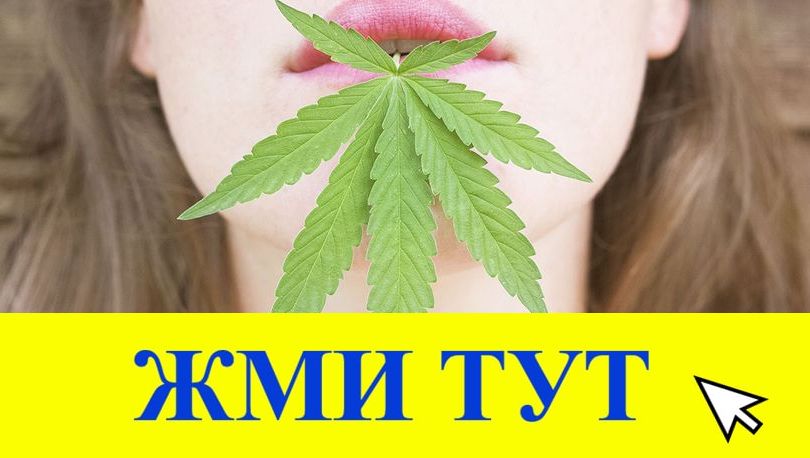 Купить наркотики в Судаке